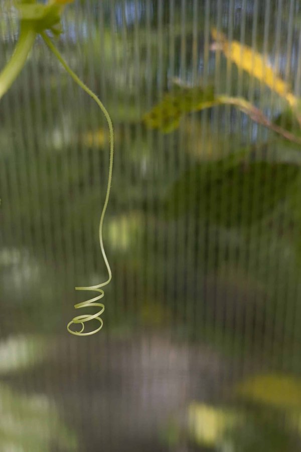 Comment adapter son cyclisme aux différentes phases du cycle menstruel ?